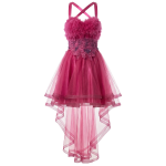 Večernja Haljina Berry Flame_Zea