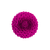Broš Eternal Rose_Zea