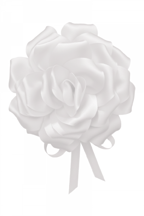 Ruža na vezanje Gala Blossom_Zea