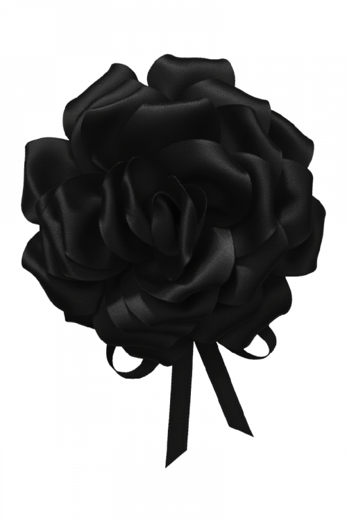 Ruža na vezanje Gala Blossom_Zea