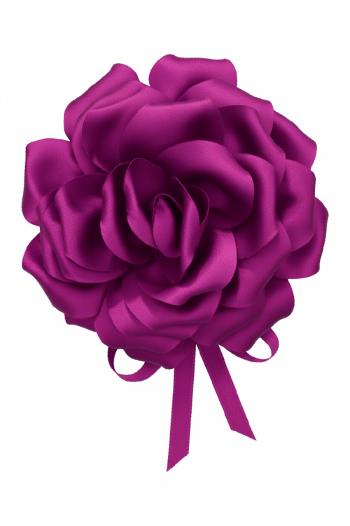 Ruža na vezanje Gala Blossom_Zea