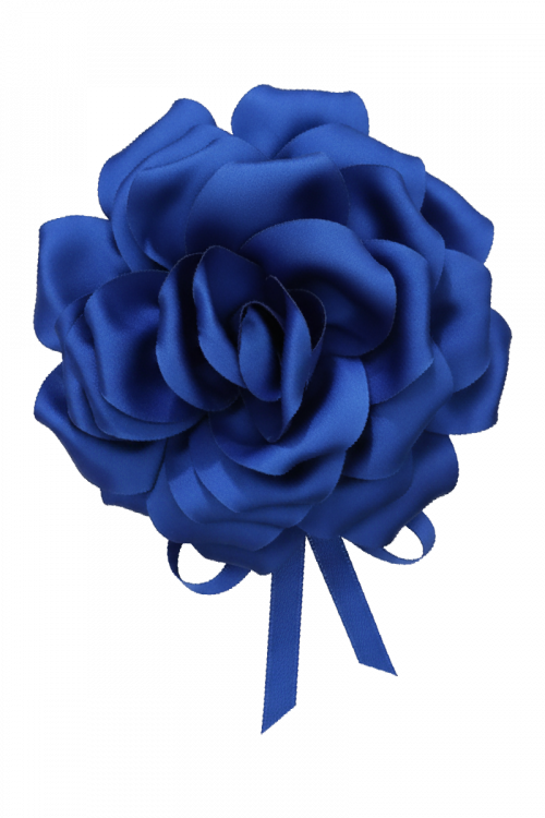 Ruža na vezanje Gala Blossom_Zea