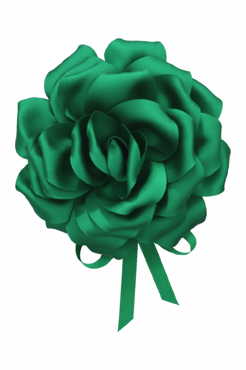 Ruža na vezanje Gala Blossom_Zea