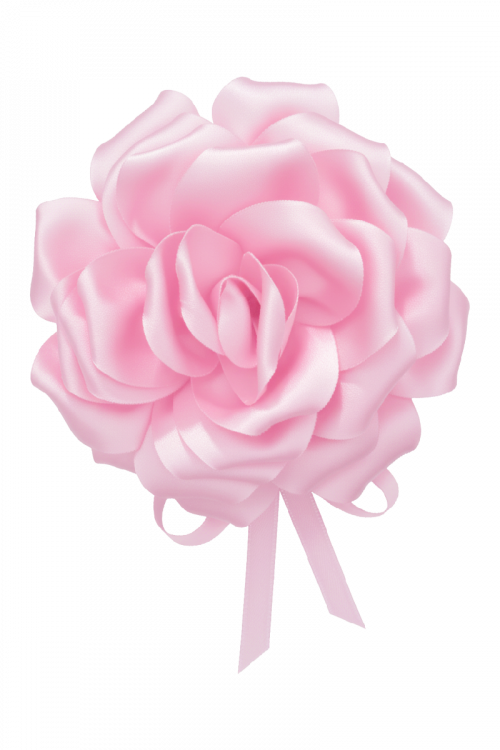 Ruža na vezanje Gala Blossom_Zea