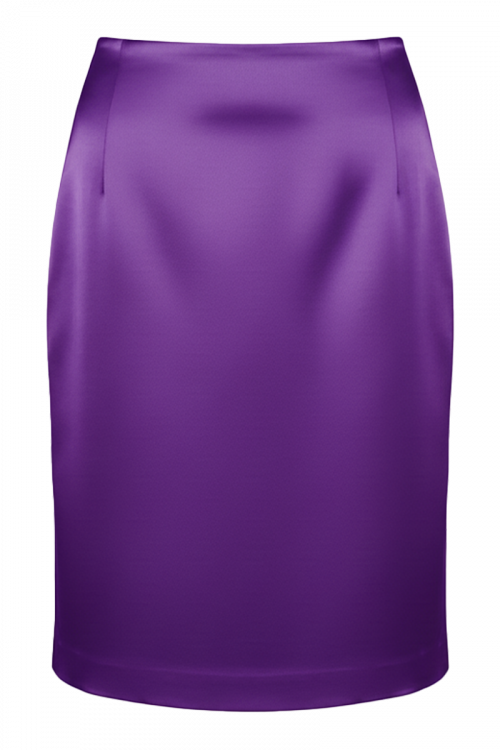 Suknja Classic Perfection_Zea