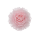 Broš Blooming Charm_Zea